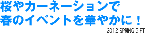 �H����������������Ȃ��I�g����V��M�t�g���X�I